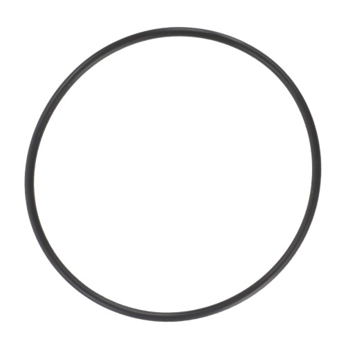 V837091020 O-ring pompy wtryskowej