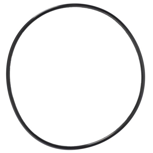 V34272200 O-ring