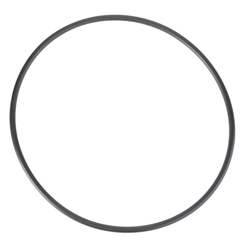 X549015066000 Pierścień, oring pompy wtryskowej 