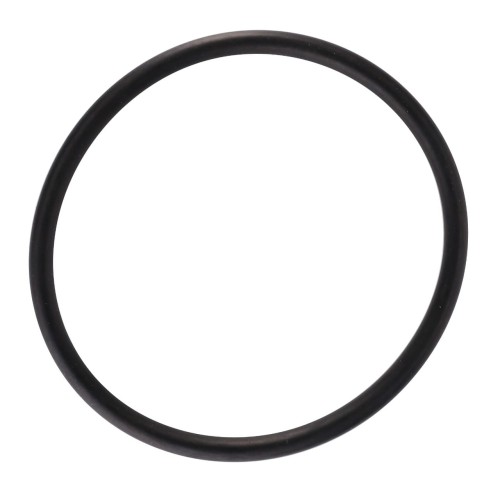 F824200050090 Pierścień, oring pompy wody 
