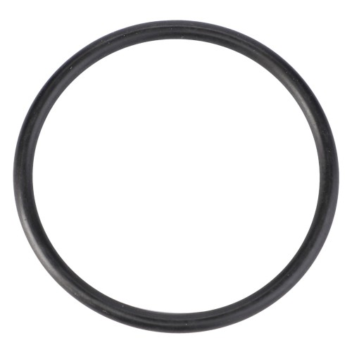 X548913666000 O-ring