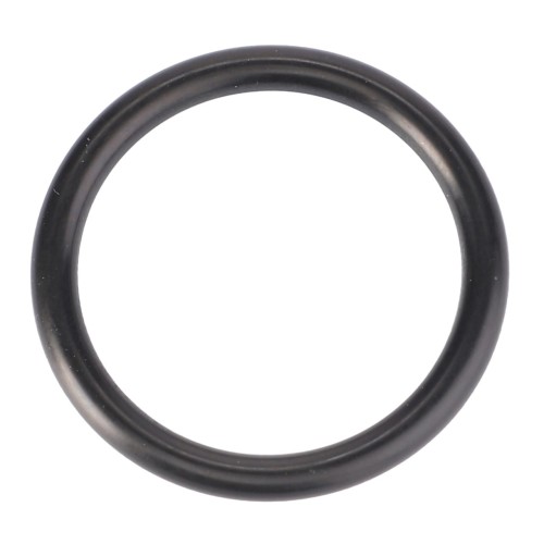 X548891266000 O-ring