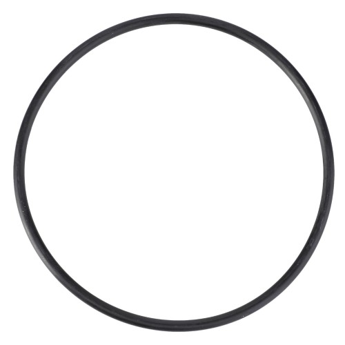 X548958500000 O-ring pompy wtryskowej 