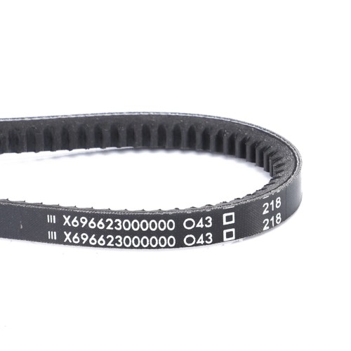 X696623000000 Pasek klinowy 13X868 MM