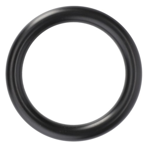 F716201610010 Pierścień, oring pompy wody 