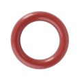 F718960030100 Oring