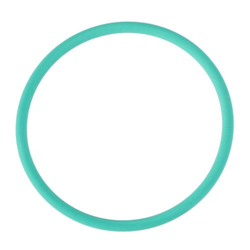X548911400000 Oring