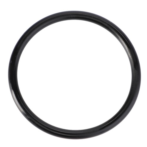 X548901066000 Pierścień, oring