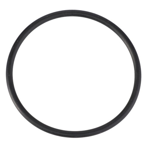X548926801000 Pierścień, oring