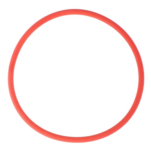 X548945415000 Pierścień, oring