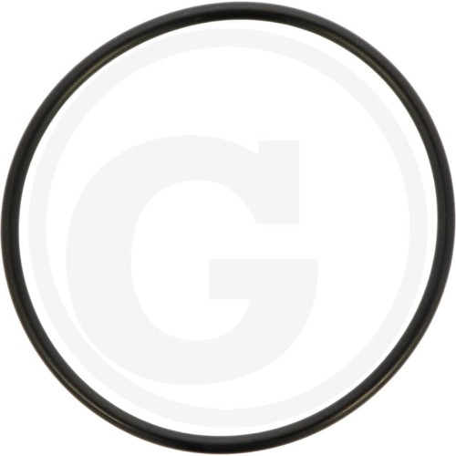 001050746 Oring