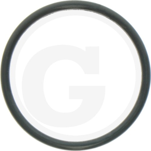 000366434X1 Oring