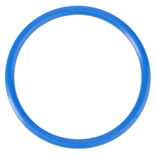 X548958479000 Uszczelniacz, oring siłownika podnośnika