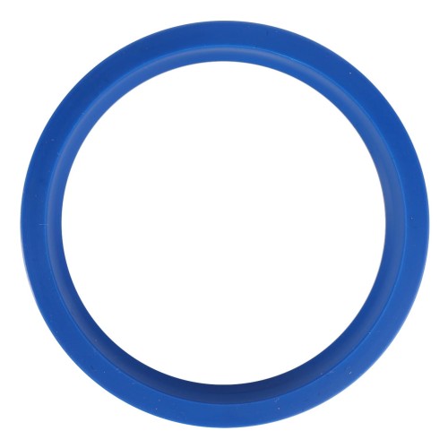 X548388500000 Pierścień rowkowany