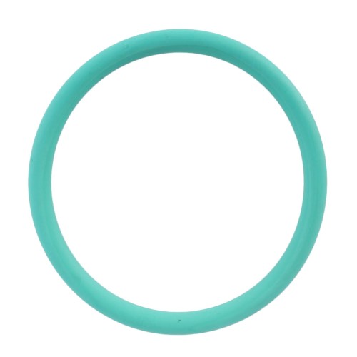 X548892215000 Oring