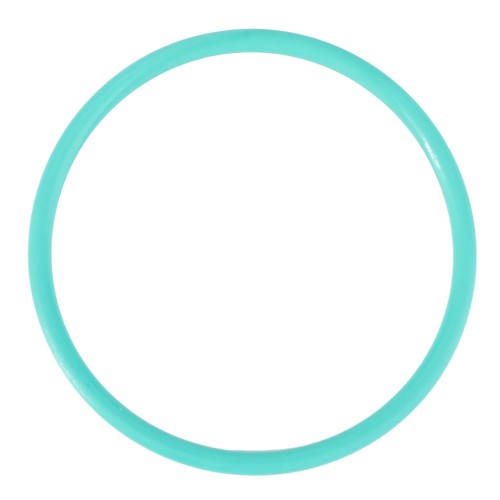 X548926802000 Oring