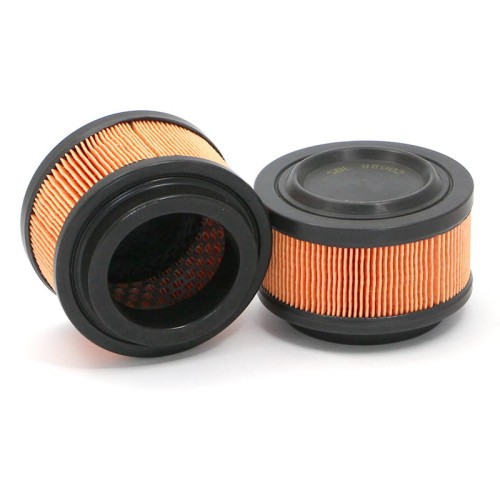 Odpowietrznik SBL88002 SF Filter