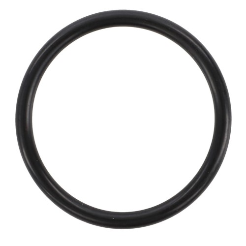 F716300020020 Oring