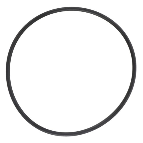F716300020030 Oring