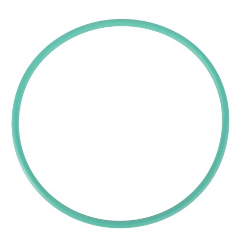 X548949815000 Oring, pierścień uszczelniający 