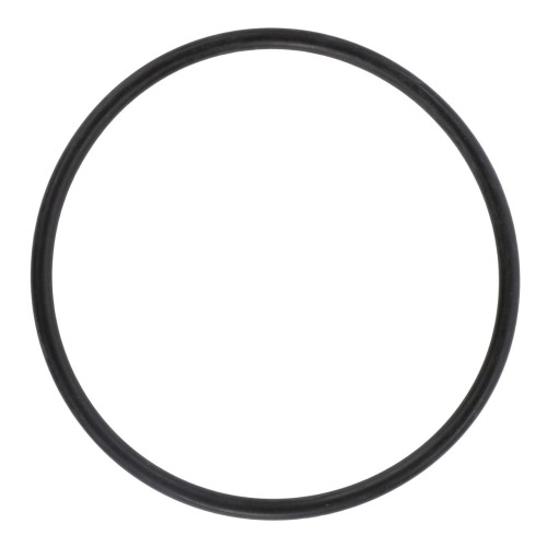 X548945466000 Oring siłownika wspomagania