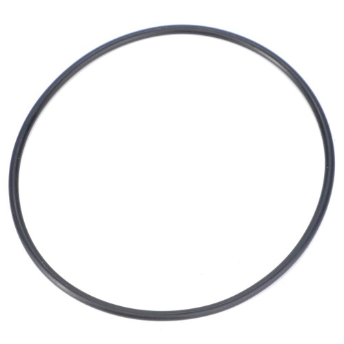 X548960666000 O-ring