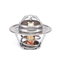 3637650M1 Termostat ( nowy numer V836015156  )