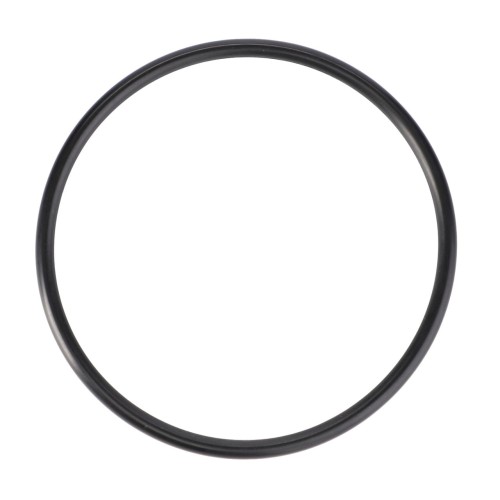 V614606230 Oring
