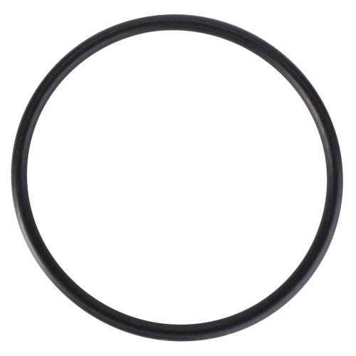 V837079431 Oring