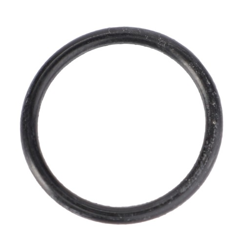 V39953000 Oring