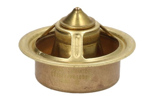 Termostat do Case A57641 07541EC