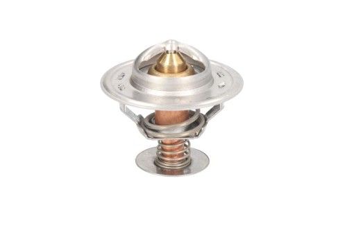 Termostat 3059676R1 3059676R91 3228046R2 3228046R3 021/00192 07581EC