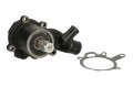 Pompa wody do Massey Ferguson 1345 1086 1210 1220 1130 1131 1101 1200 1085 1114 1007 1215 1800 1090 1150 1104 1335 1132 1134 1104.4 1103 1035 1004 1024 1205 U5MW0095 3637468M91 4222002M91 41313237