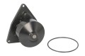 Pompa wody do JCB Fastrac 8250 TEREX TA25 3964791 3973114 4089647 08178EC