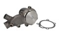 Pompa wody do MASSEY FERGUSON 375 383 390 390T 393 398 365 3050 3060 3065 3070 3075 4225 4235 4240 4243 4245 4253 4255 4265 5285 5290 6110 6120 6130 6140 6150 U5MW0108 4222002M91 3641263M91 08171EC