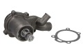 Pompa wody do MASSEY FERGUSON 375 383 390 390T 393 398 365 3050 3060 3065 3070 3075 4225 4235 4240 4243 4245 4253 4255 4265 5285 5290 6110 6120 6130 6140 6150 U5MW0108 4222002M91 3641263M91 08171EC