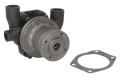 Pompa wody do Massey Ferguson 135 148 152 230 240 245 255 354 360 550 LANDINI 5830 6030 5840 6040 5860 5870 5500 5530 5560 6030 747542M91 3641823M91 41312487 08173EC