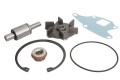 Zestaw naprawczy pompy wody do FORD CASE NEW HOLLAND 87800712 81869616 08162EC