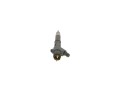 Wtryskiwacz do FENDT 0445120062 BOSCH