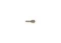 Wtryskiwacz do FENDT 0433171928 BOSCH
