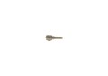 Wtryskiwacz do FENDT 0433171928 BOSCH