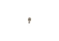 Wtryskiwacz do FENDT 0433171928 BOSCH
