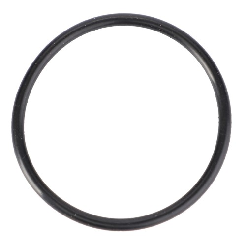 X590980100000 Oring