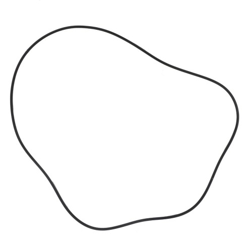 X549043900000 Oring