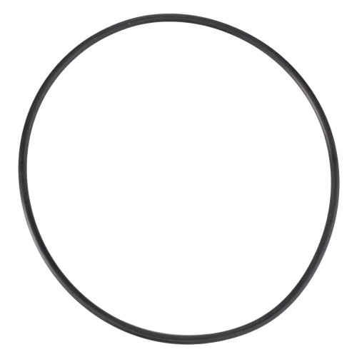 X549284566000 Oring