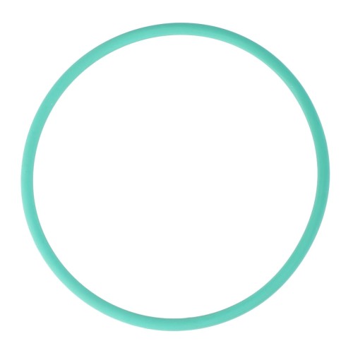 X548963400000 Oring