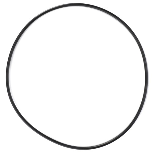 X549000800000 Oring