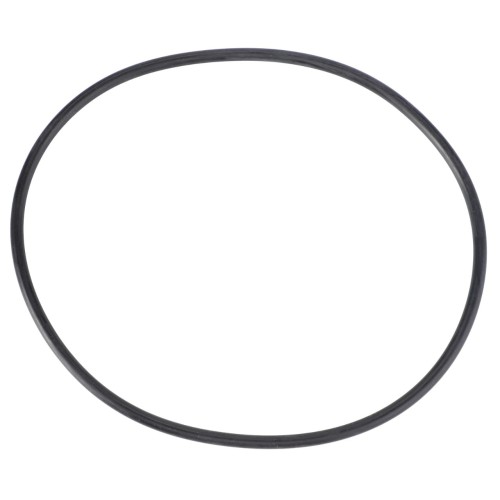 X549005700000 Oring