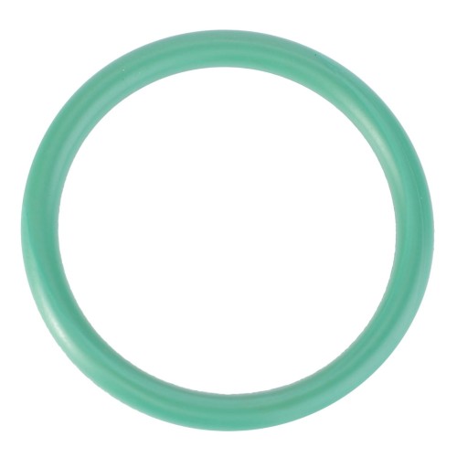 X548898001000 Oring