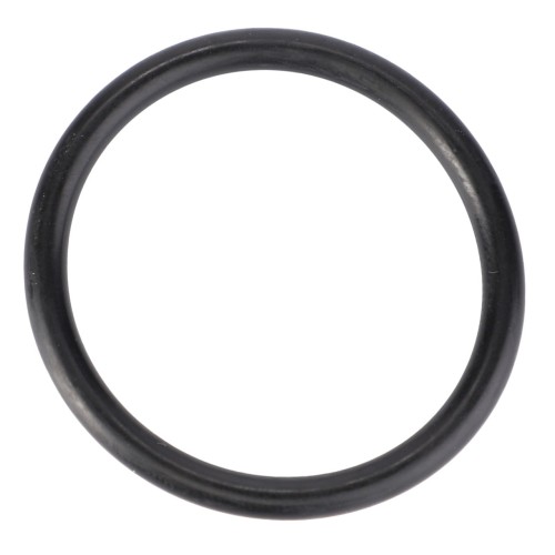 X548904801000 Oring